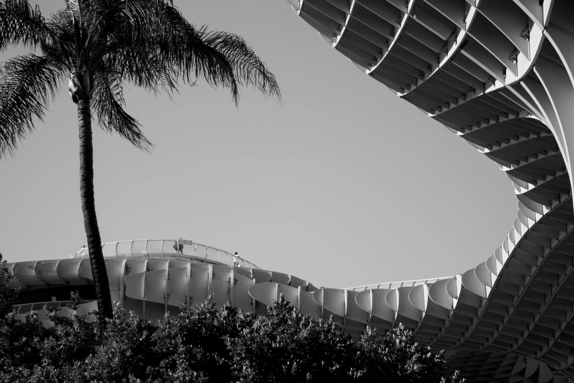 Metropol Parasol in Seville, black and white