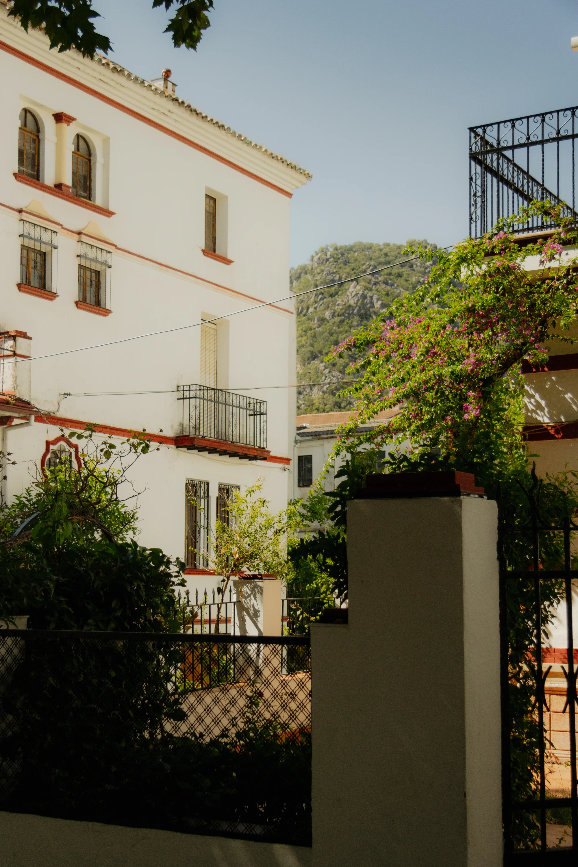 White building with bougainvillea against a mountain